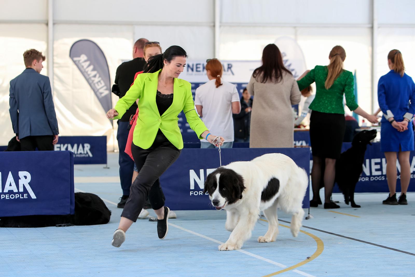 Međunarodna izložba pasa CACIB 2023