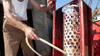 Priča o vinu: Od trsa do bačve, Foto: Leo Banić
