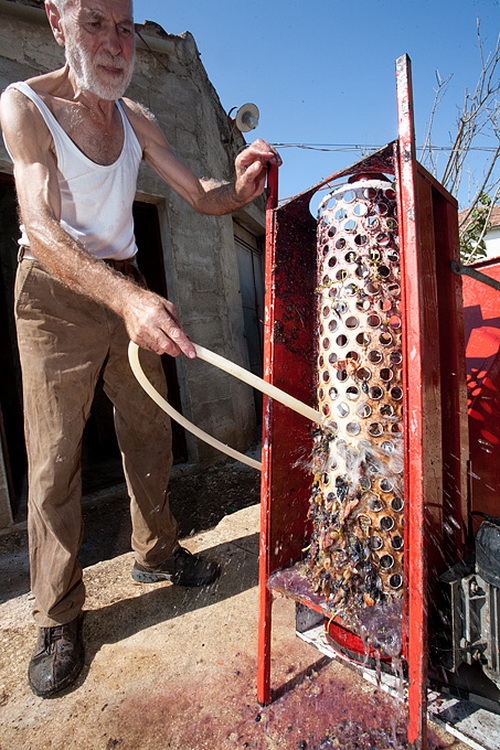 Priča o vinu: Od trsa do bačve, Foto: Leo Banić