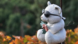 Zadar, 021111
Uz cestu koja vodi od Zadra prema Razancu moze se vidjeti jedan od sigurno najneobicnijih vinograda na svijetu. Umjesto uobicajenih strasila, vinograd cuvaju ogromni plisani medvjedi , lutke, barbike i raznorazne druge igracke i predmeti.
Fo Zadar, 021111
Uz cestu koja vodi od Zadra prema Razancu moze se vidjeti jedan od sigurno najneobicnijih vinograda na svijetu. Umjesto uobicajenih strasila, vinograd cuvaju ogromni plisani medvjedi , lutke, barbike i raznorazne druge igracke i predmeti.
Fo