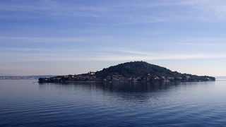 Image 1194623 (auto)