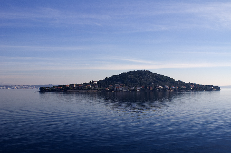 Image 1194623 (auto)