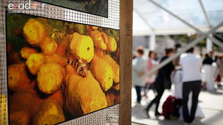 Đir po gradu, subotnja špica 6. travnja 2019. Đir po gradu, subotnja špica 6. travnja 2019.