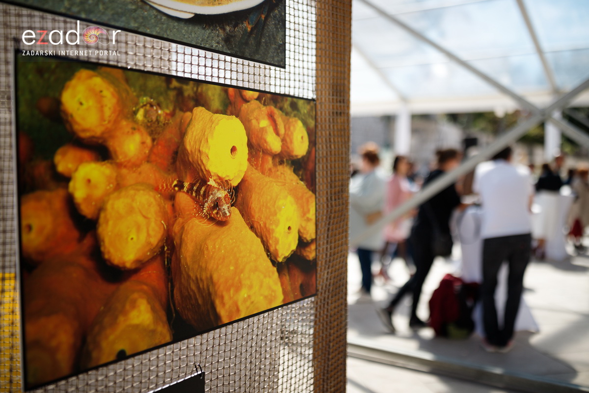 Đir po gradu, subotnja špica 6. travnja 2019. Đir po gradu, subotnja špica 6. travnja 2019.