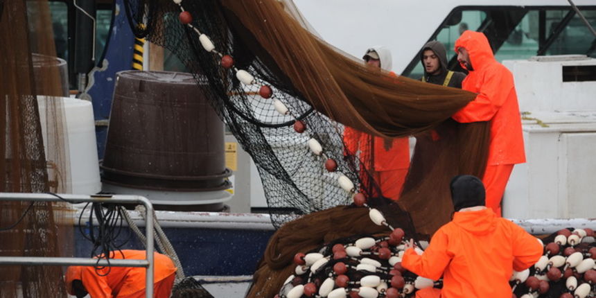 Zadar, 141212.
Mreze “koje zivot znace” treba ocistiti i pospremiti i nakon slabijeg ulova, i po ruznom vremenu.
Mozda ce se vec sutra sreca promijeniti i sunce zasjati za vrijedne ribare.
Na fotografiji: ribari.
Foto: Luka Gerlanc / CROPIX