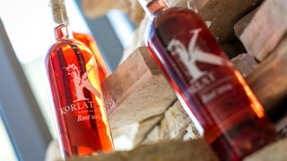 Doris Pinčić i Nina Kraljić među prvima probale novo vino s položaja Korlat