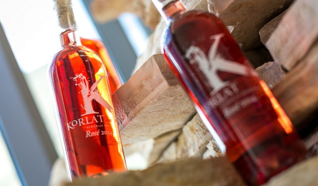 Doris Pinčić i Nina Kraljić među prvima probale novo vino s položaja Korlat