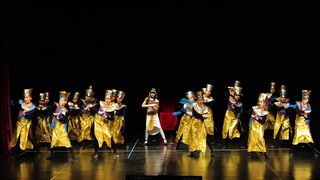 Plesna udruga Gesta: Karnevalski vremeplov, Foto: Zeljko Karavida