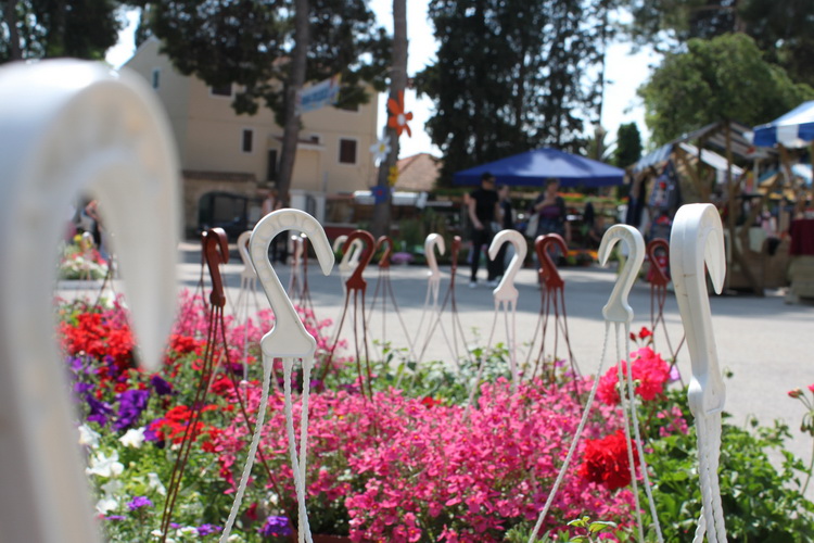 Sveti Filip i Jakov: 11. Dani cvijeca Zadarske zupanije, Foto: Martin Brkljaca Sveti Filip i Jakov: 11. Dani cvijeca Zadarske zupanije, Foto: Martin Brkljaca