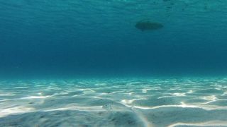 25.07.2013., Dugi otok, Sakarun – Uzduz i poprijeko Dugog otoka u zadarskom arhipelagu u ljetnim danima prepuno je turista, a najomiljenija plaza zasigurno je Sakarun, koja sa nalazi u uvali pokraj mjesta Veli Rat. Pjeskovita plaza sa tirkizno cistim mo