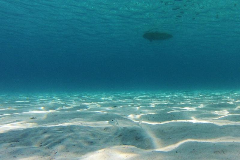 25.07.2013., Dugi otok, Sakarun – Uzduz i poprijeko Dugog otoka u zadarskom arhipelagu u ljetnim danima prepuno je turista, a najomiljenija plaza zasigurno je Sakarun, koja sa nalazi u uvali pokraj mjesta Veli Rat. Pjeskovita plaza sa tirkizno cistim mo