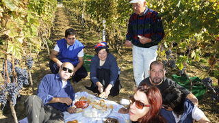 Stankovci, 101010.
Zadnja berba grozdja vodicke obitelji Roca u njihovom vinogradu. Po tradicionalnom obicaju zenski dio beraca bio je u vodickim “radnim nosnjama” koje su zene nekada nosile.
Foto: Marija Mihic / Cropix Stankovci, 101010.
Zadnja berba grozdja vodicke obitelji Roca u njihovom vinogradu. Po tradicionalnom obicaju zenski dio beraca bio je u vodickim “radnim nosnjama” koje su zene nekada nosile.
Foto: Marija Mihic / Cropix