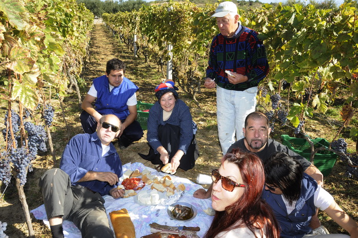 Stankovci, 101010.
Zadnja berba grozdja vodicke obitelji Roca u njihovom vinogradu. Po tradicionalnom obicaju zenski dio beraca bio je u vodickim “radnim nosnjama” koje su zene nekada nosile.
Foto: Marija Mihic / Cropix Stankovci, 101010.
Zadnja berba grozdja vodicke obitelji Roca u njihovom vinogradu. Po tradicionalnom obicaju zenski dio beraca bio je u vodickim “radnim nosnjama” koje su zene nekada nosile.
Foto: Marija Mihic / Cropix