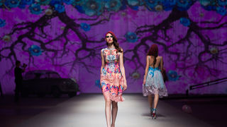 Foto: Mirko Jankovic Foto: Mirko Jankovic