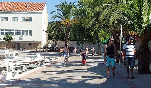 Image 1176965 (auto)