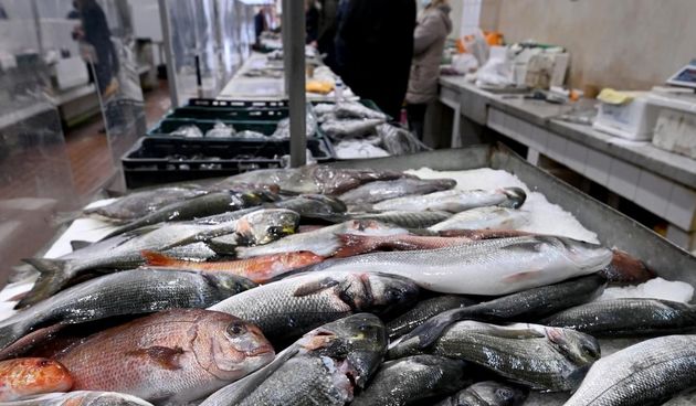 Bogata ponuda ribe na gradskoj ribarnici
