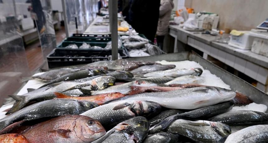 Bogata ponuda ribe na gradskoj ribarnici