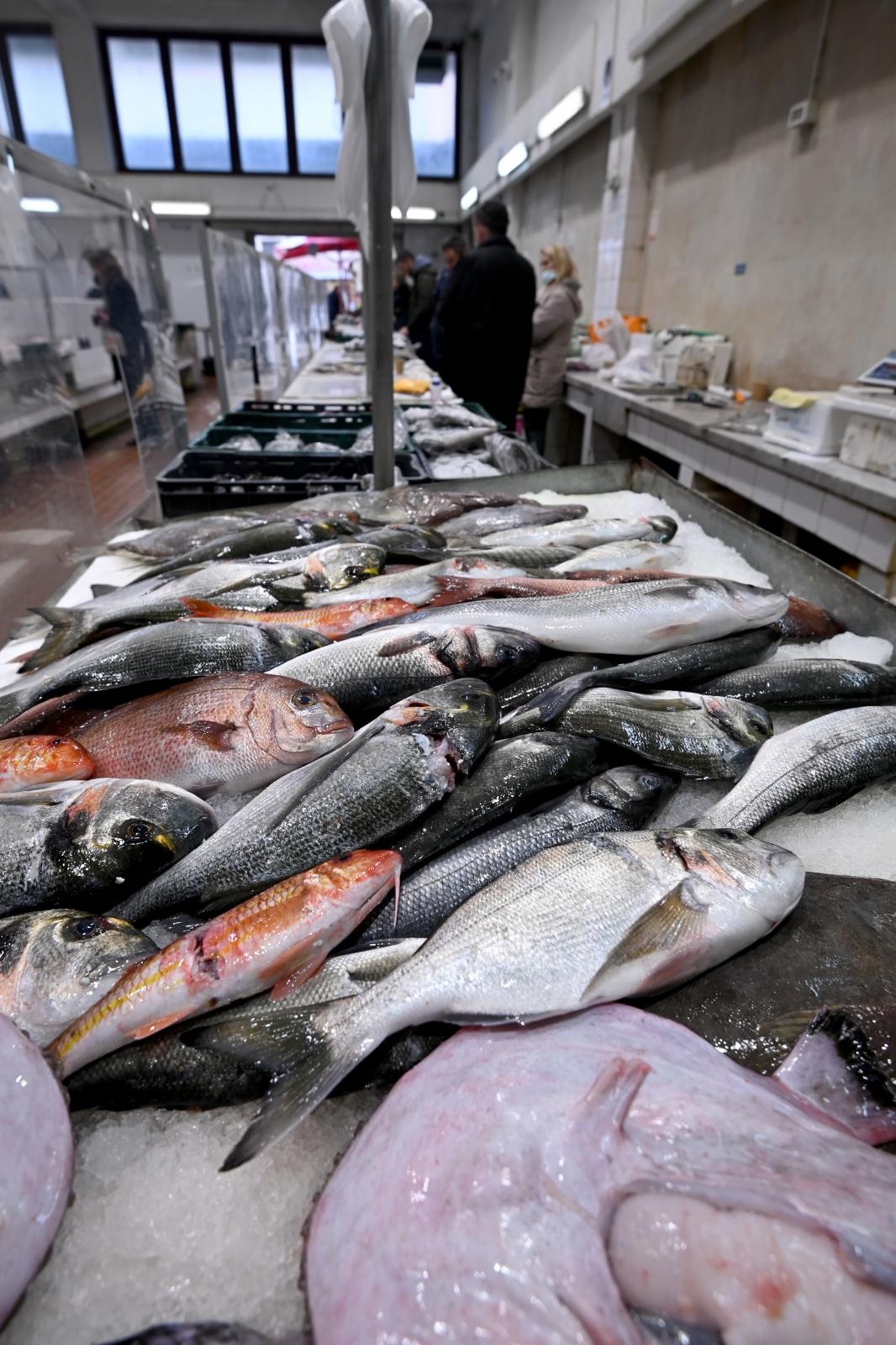 Bogata ponuda ribe na gradskoj ribarnici Bogata ponuda ribe na gradskoj ribarnici