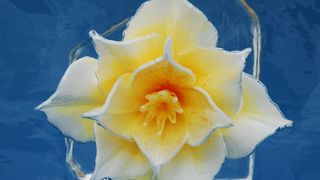 Ledene skulpture japanskog umjetnika Kazuyukija Nihashija Ledene skulpture japanskog umjetnika Kazuyukija Nihashija