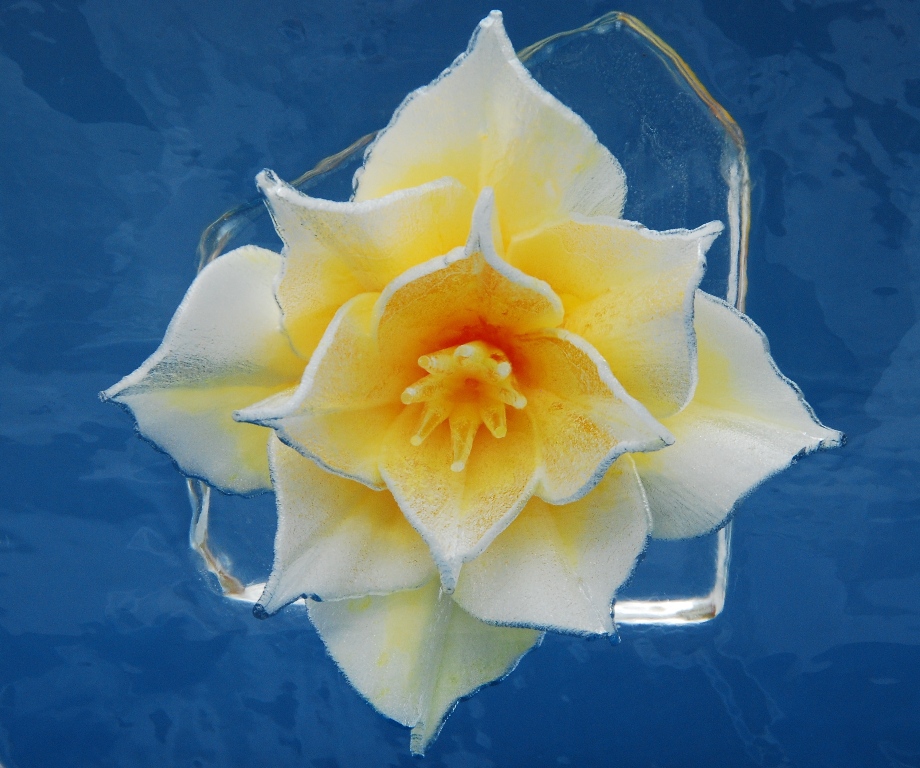 Ledene skulpture japanskog umjetnika Kazuyukija Nihashija Ledene skulpture japanskog umjetnika Kazuyukija Nihashija