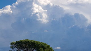 Krajolici zadarskog zaledja