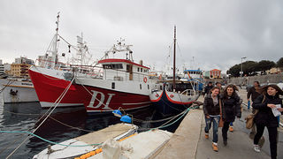 Ribarice u zadarskoj luci, Foto: Leo Banić