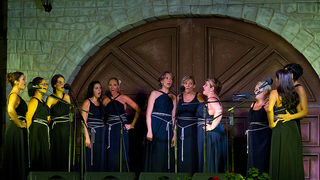 Raspivano Bibinje 2013: Prva večer, Foto: Leo Banić