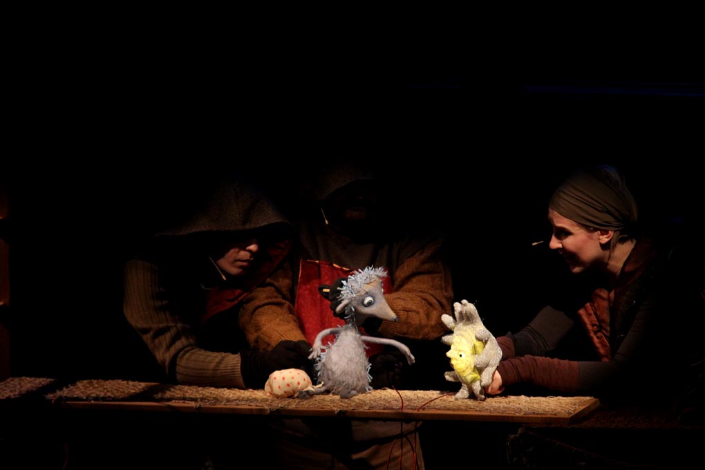 Sa “Zvjezdicom” započelo Sunce na Poluotoku, foto: Iva Perinčić