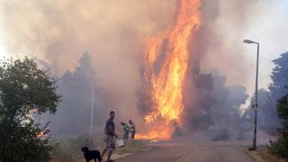 Požar na Plovaniji 11. kolovoza 2013. Foto: Željko Mršić/PIXSELL Požar na Plovaniji 11. kolovoza 2013. Foto: Željko Mršić/PIXSELL
