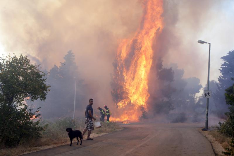 Požar na Plovaniji 11. kolovoza 2013. Foto: Željko Mršić/PIXSELL Požar na Plovaniji 11. kolovoza 2013. Foto: Željko Mršić/PIXSELL
