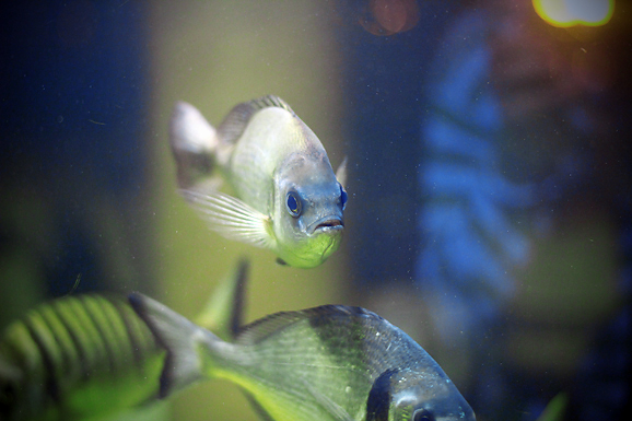 Image 874247 (auto) Image 874247 (auto)