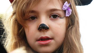 Virski karnevalić 2016. Virski karnevalić 2016.