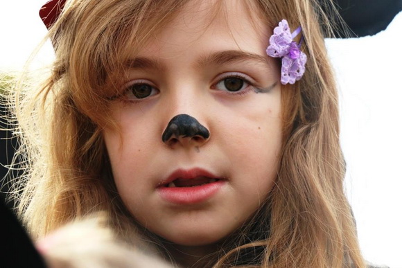 Virski karnevalić 2016. Virski karnevalić 2016.