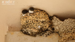 Večernji đir po gradu 10. srpnja 2019. Večernji đir po gradu 10. srpnja 2019.