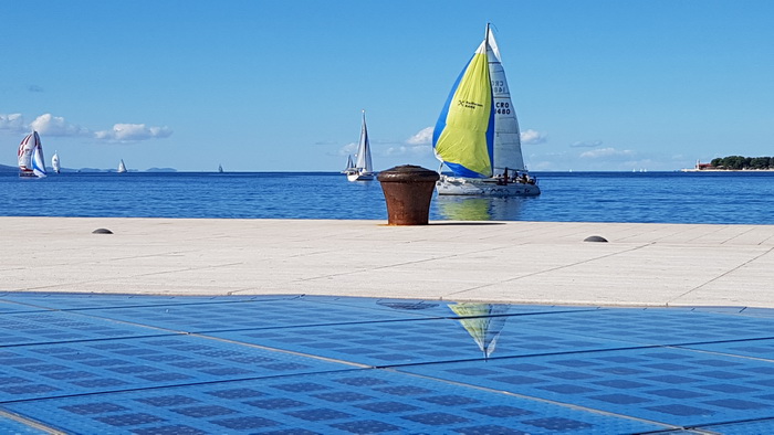 Zadarska Koka 2016. 22. listopada 2016. Foto: Mladen Malik Zadarska Koka 2016. 22. listopada 2016. Foto: Mladen Malik