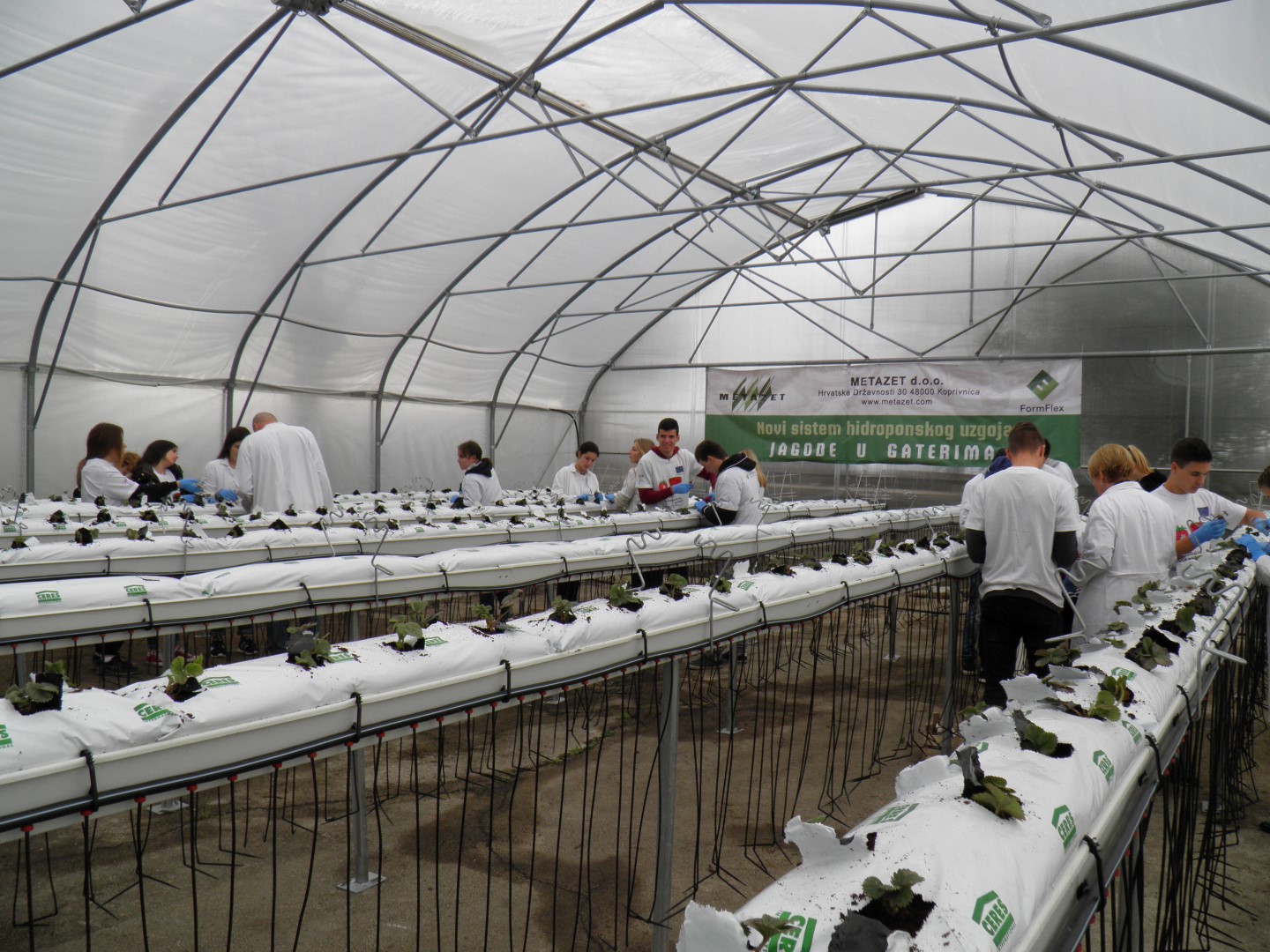 OLYMPUS DIGITAL CAMERA OLYMPUS DIGITAL CAMERA