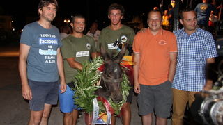 Tisno: Međunarodna trka tovarov 2013, Foto: Edin Kadić Tisno: Međunarodna trka tovarov 2013, Foto: Edin Kadić