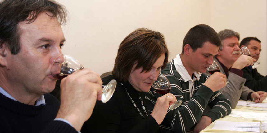S 12. degustacije ravnokotarskih vina – Degustatori koji su ocijenjivali kvalitetu vina mogli su se uvjeriti u njegovu kvalitetu. Foto: Branislav Grgurovic / CROPIX