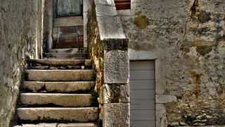 OLYMPUS DIGITAL CAMERA OLYMPUS DIGITAL CAMERA