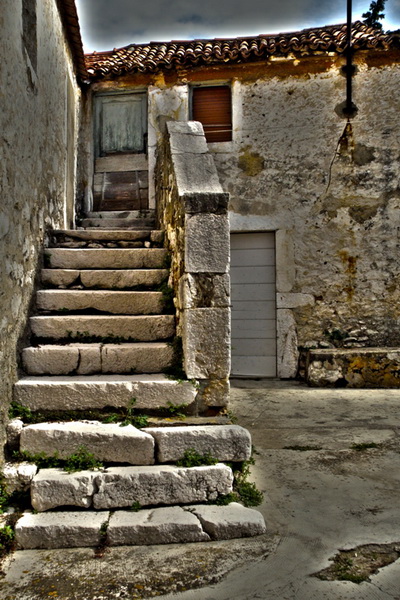 OLYMPUS DIGITAL CAMERA OLYMPUS DIGITAL CAMERA