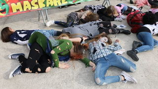 Virski karnevalić 2016. Virski karnevalić 2016.