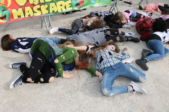 Virski karnevalić 2016. Virski karnevalić 2016.