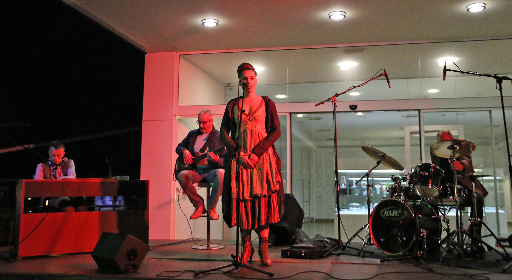 MAS: Koncert Matije Dedića i grupe Black Coffee, foto: eZadar