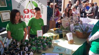 smotra učeničkih zadruga na Narodnom trgu; kreativnost na djelu; suveniri