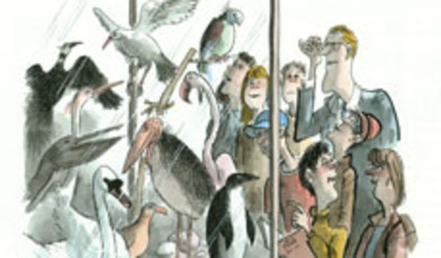 Karikatura Ota Reisingera (Foto: ng-junior.com)