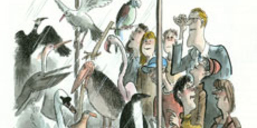 Karikatura Ota Reisingera (Foto: ng-junior.com)