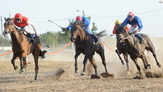 Zadar, 200811.
U Polaci na hipodromu Ravni kotari odrzane su 
14. Medjunarodne galopske konjicke utrke “Oluja 95”. 
Foto: Andrija Lucic / CROPIX