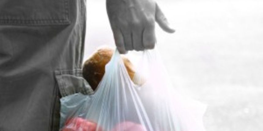 plastična vrećica (foto: WordPress) plastična vrećica (foto: WordPress)