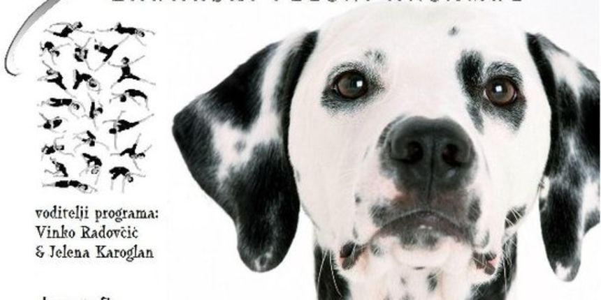 Maskerata plakat Maskerata plakat