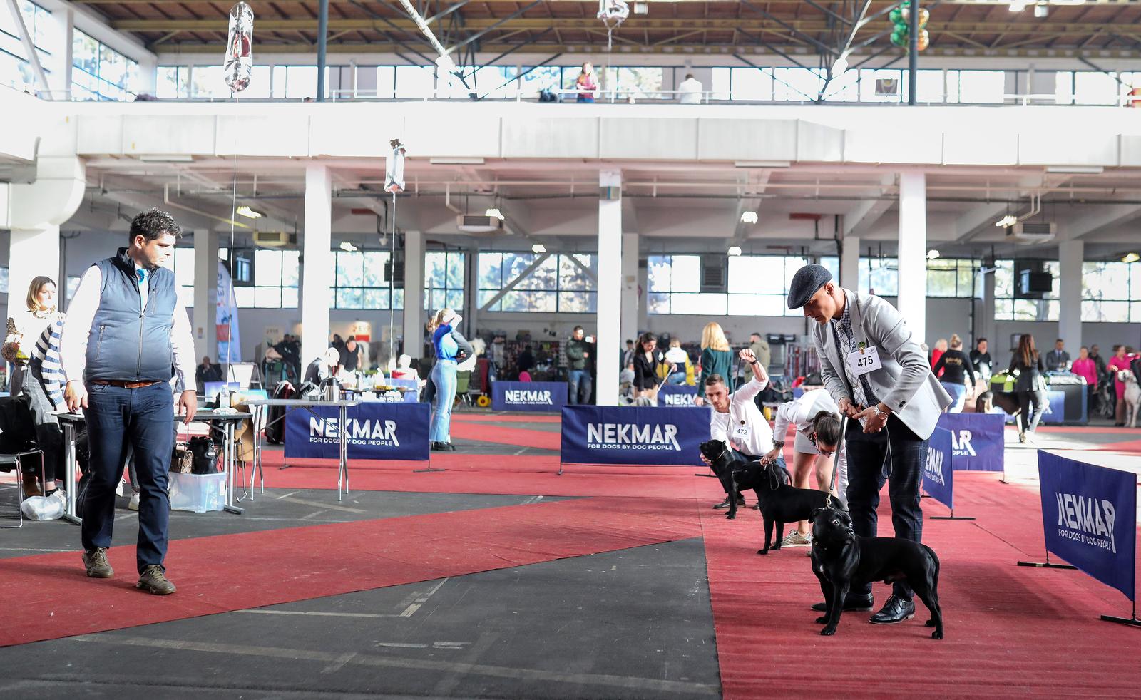 Izložba pasa na Zagrebačkom velesajmu Izložba pasa na Zagrebačkom velesajmu